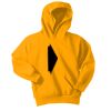 Port & Company Youth Core Fleece Pullover Hooded Sweatshirt Thumbnail