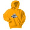 Port & Company Youth Core Fleece Pullover Hooded Sweatshirt Thumbnail