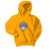 Port & Company Youth Core Fleece Pullover Hooded Sweatshirt Thumbnail