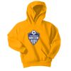 Port & Company Youth Core Fleece Pullover Hooded Sweatshirt Thumbnail